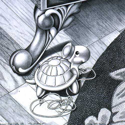 turtle-underfoot.jpg
