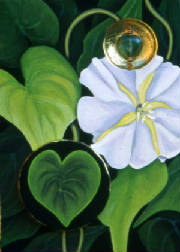 Moonflower-with-leaf-a.jpg