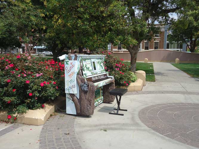 PIANO-IN-PARK-5.jpg
