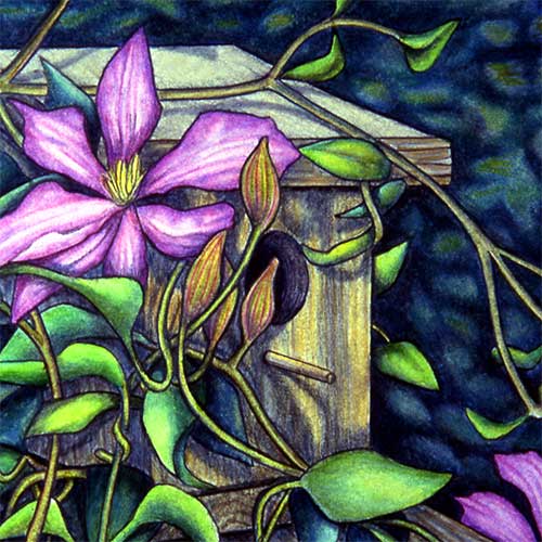 garden-series-07.jpg