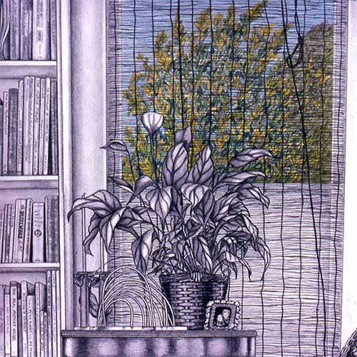 living-room-west-window.jpg
