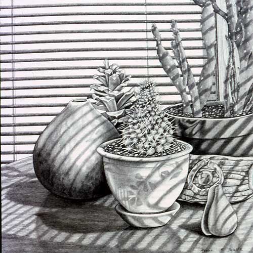 morning-shadows.jpg