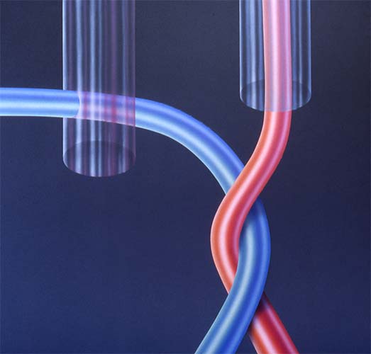transposition-series-29.jpg